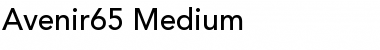 Avenir65-Medium Medium Font