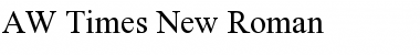 AW Times New Roman Font