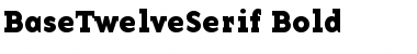 BaseTwelveSerif Bold Font