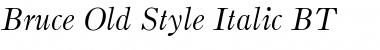 BruceOldStyle BT Italic Font
