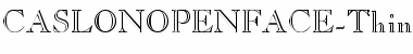 CASLONOPENFACE-Thin Font