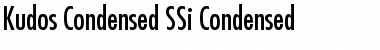 Kudos Condensed SSi Condensed